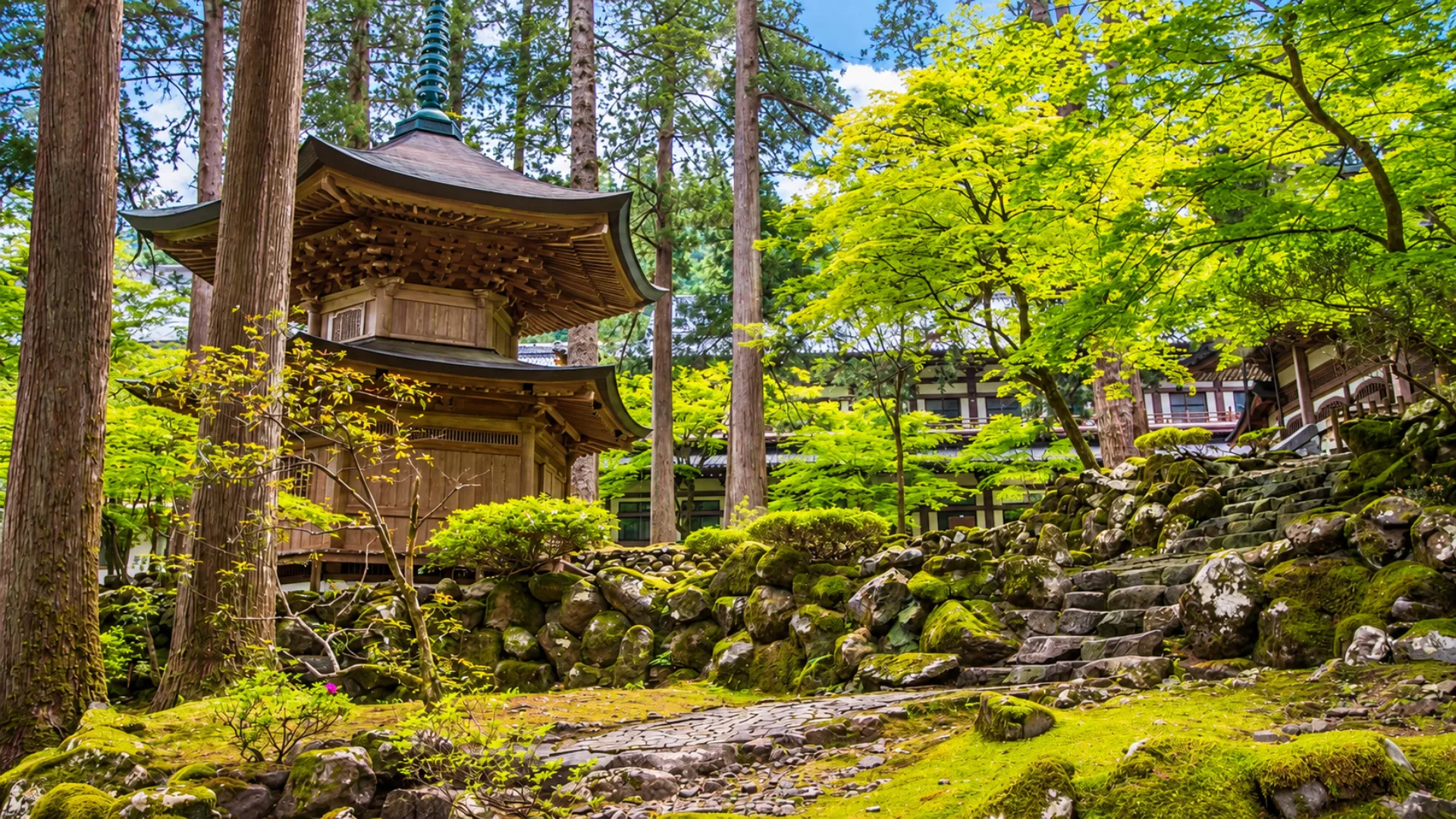 Di Luar Jalur Utama Tokyo-Kyoto: Mengapa Wilayah Hokuriku Menjadi Rute Musim Gugur Jepang Paling Praktis di 2026