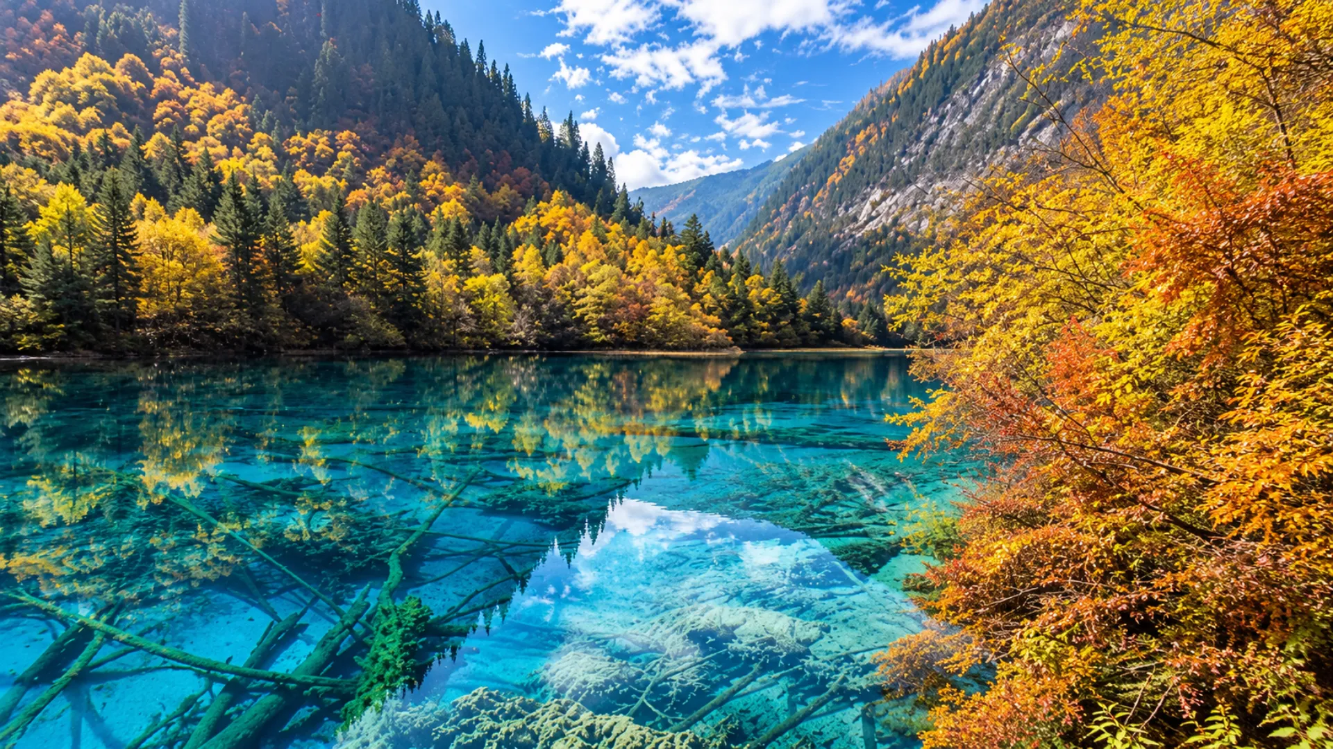 Fairyland" Tanpa Lelah: Mengapa Kereta Cepat Sichuan Menjadikan Jiuzhaigou Destinasi Musim Gugur Paling Logis di 2026