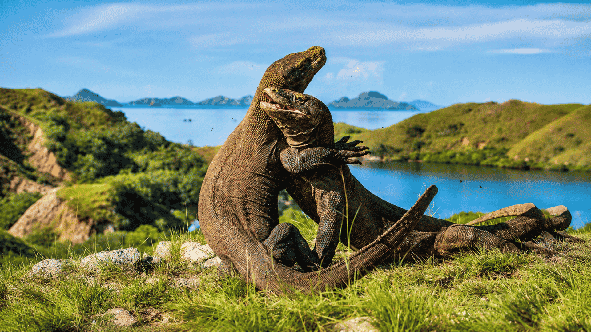 Liburan ke Labuan Bajo Terasa Berbeda Saat Tahu Sisi Ini