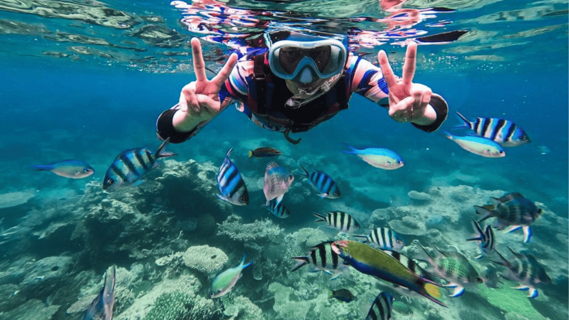 Adventure @ Ranoh Island