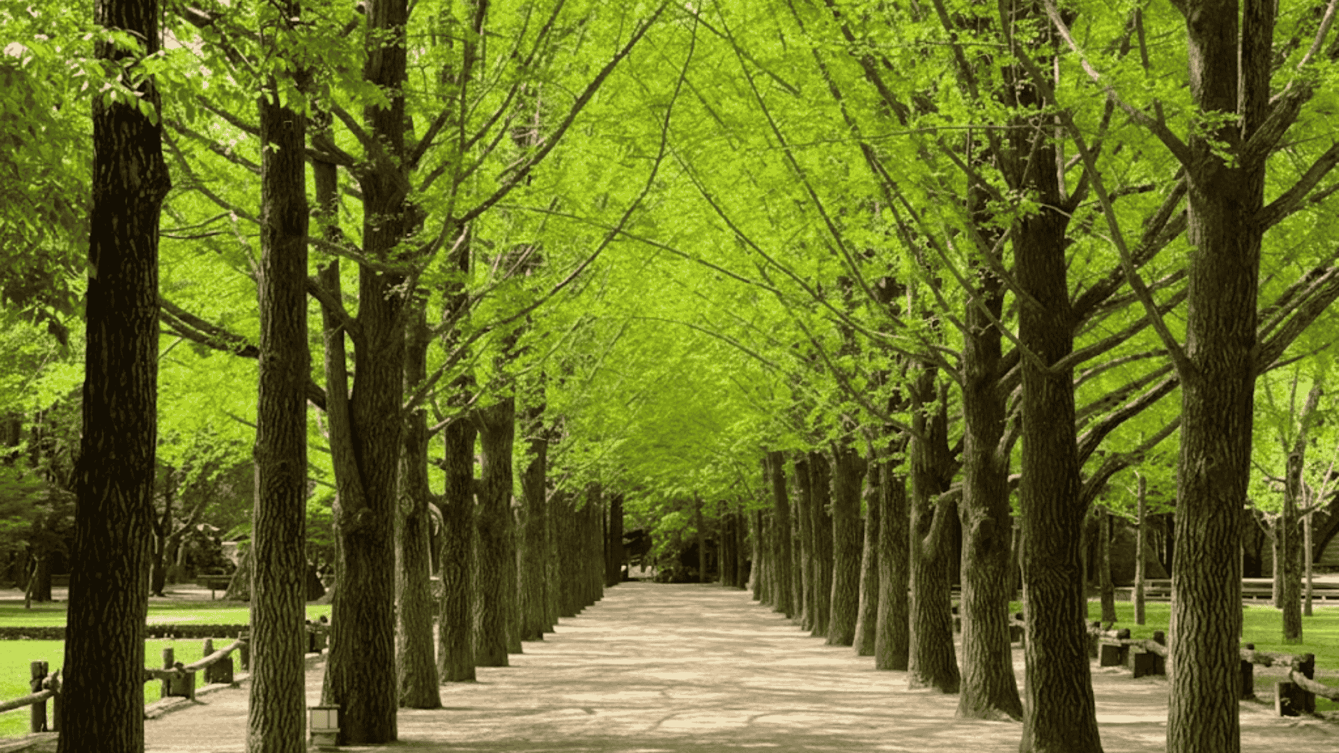 Family Tour & Corporate Tour SIC 4D3N Winter Korea